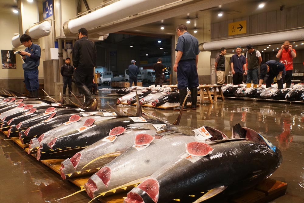 osaka-central-fish-market-genki-mobile